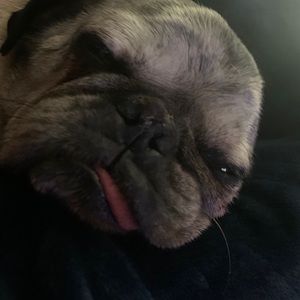 Meet your Posher, Roberta